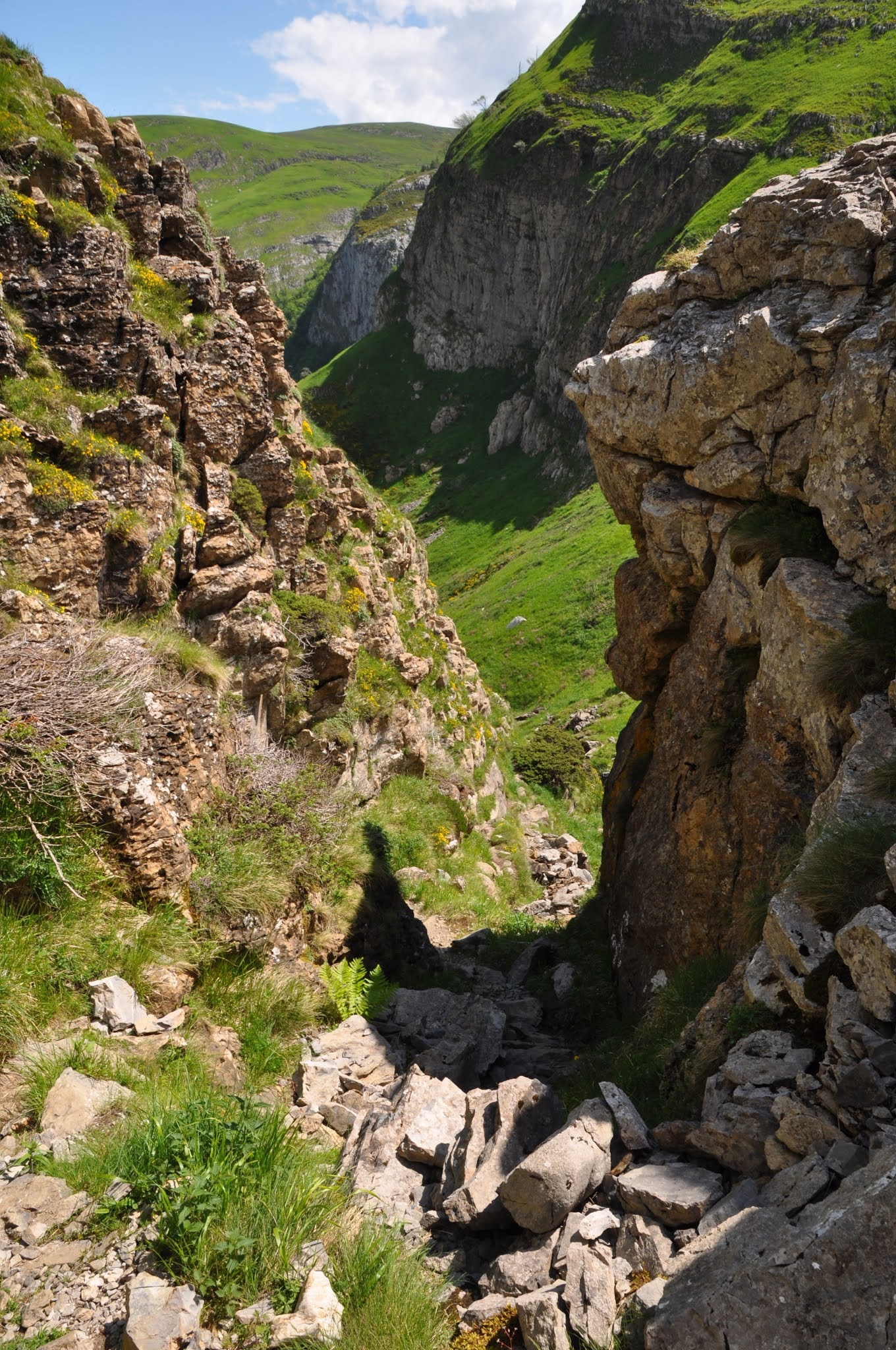 image_2